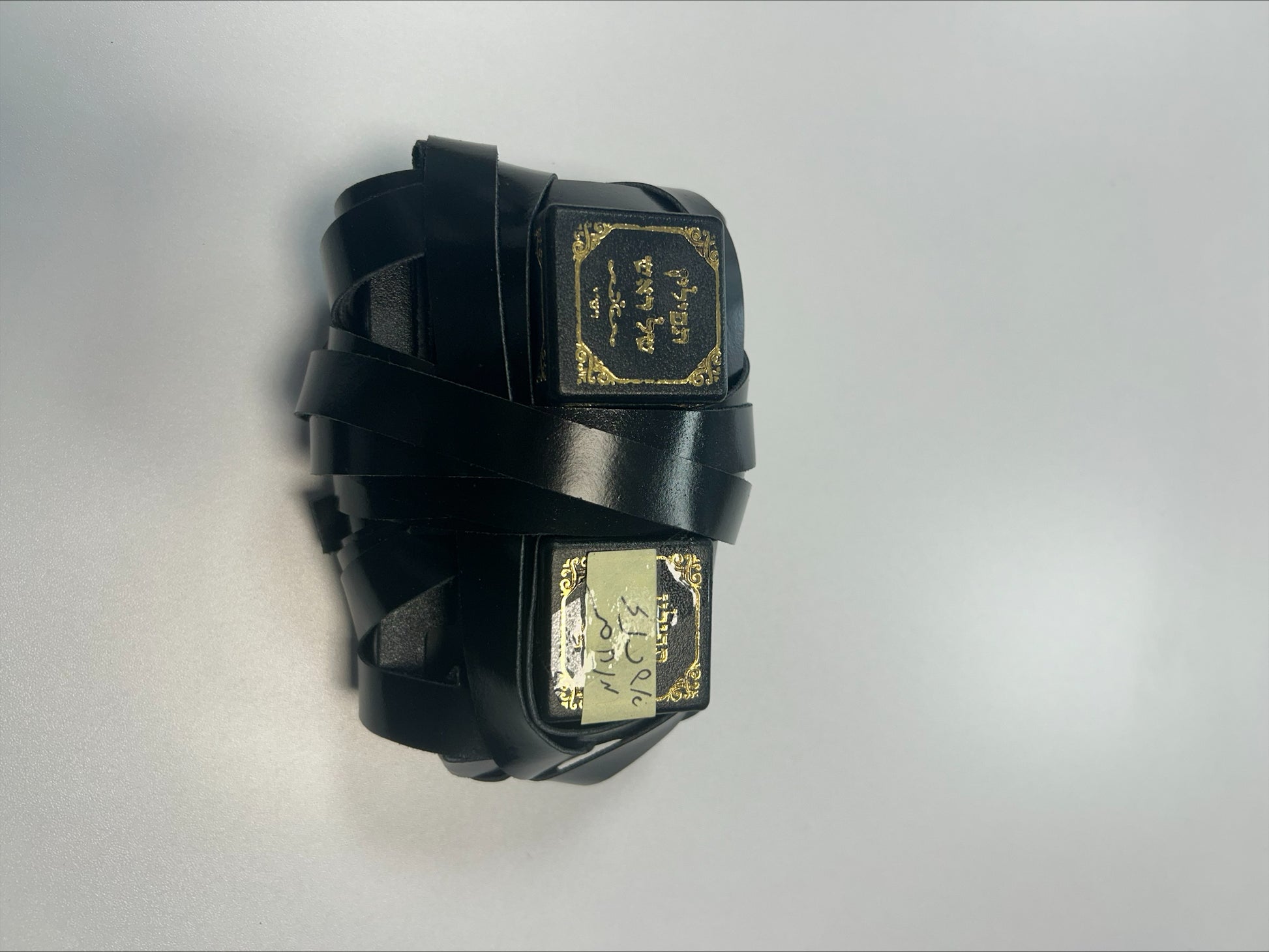 Sisterhood Ashkenazi Tefillin