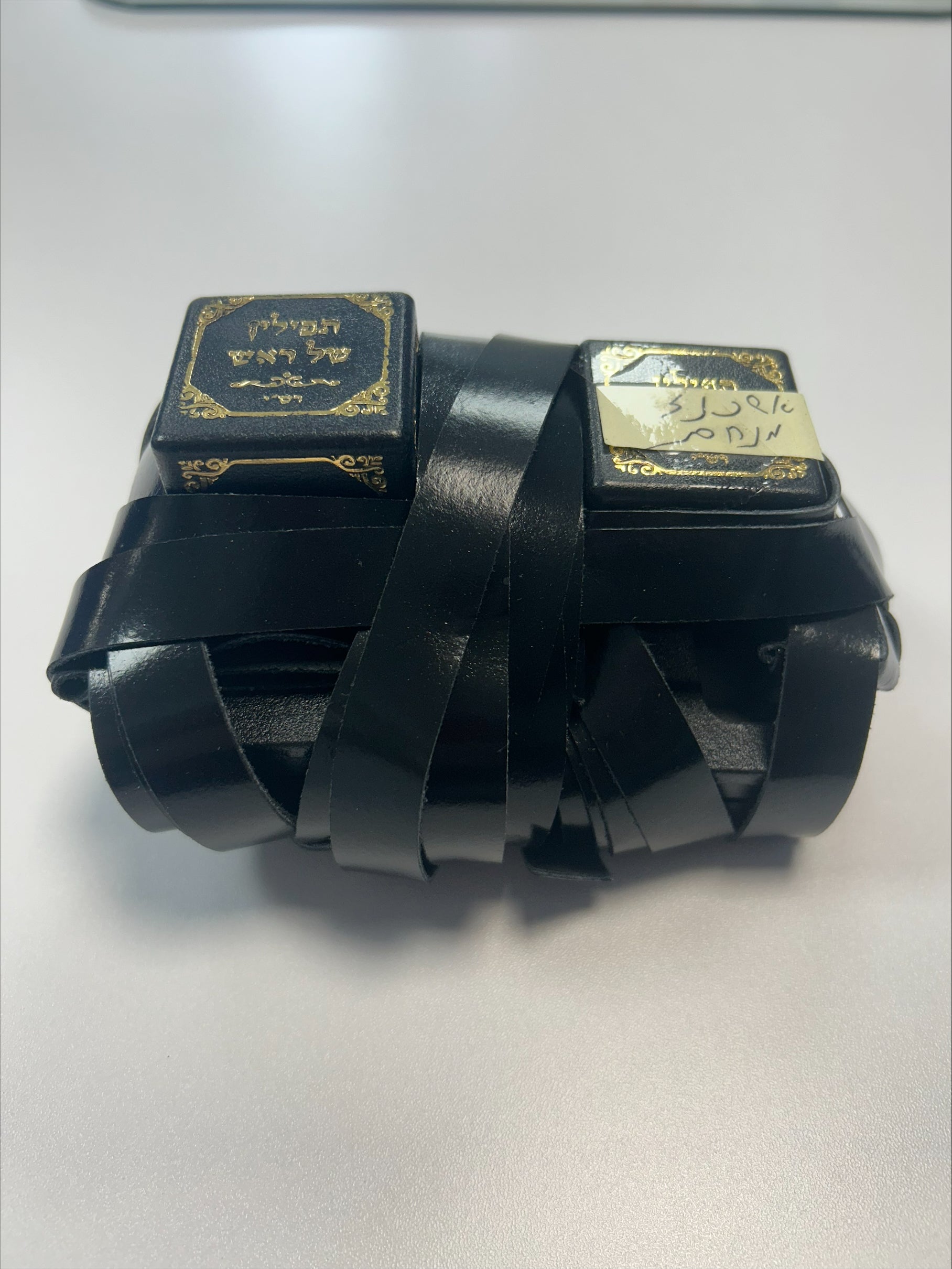 Sisterhood Ashkenazi Tefillin