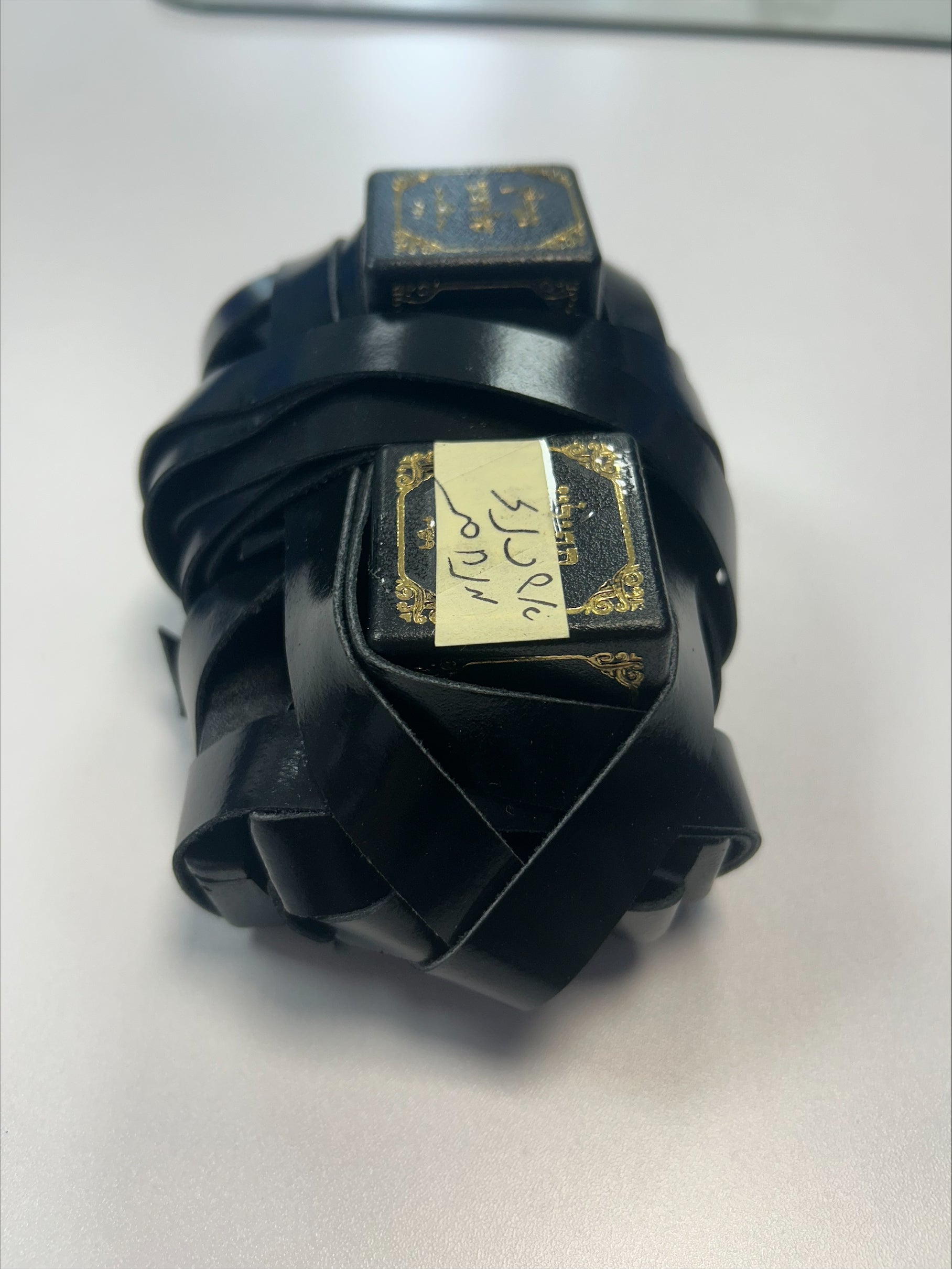 Sisterhood Ashkenazi Tefillin